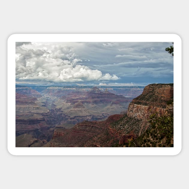 Grand Canyon Summer Storms Sticker by KirtTisdale